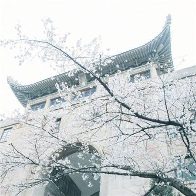 中央第一生态环境保护督察组向上海市交办第八批群众信访举报件107件